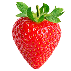 Fresa